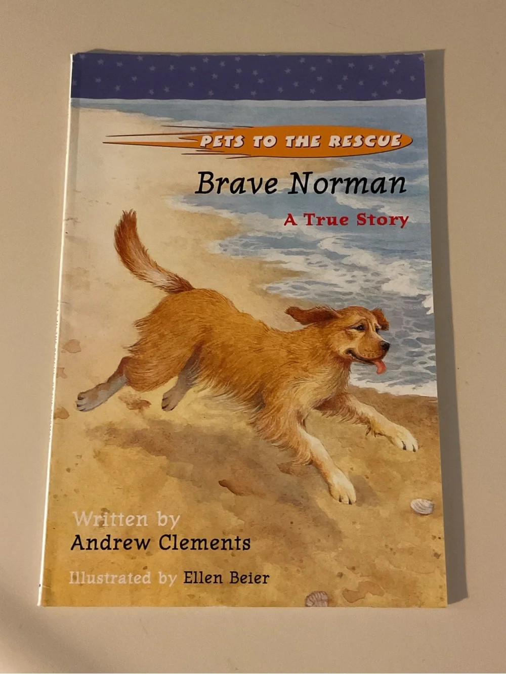 Brave Norman & Get Ready for Second Grade Kids Picture Reader Books 📚